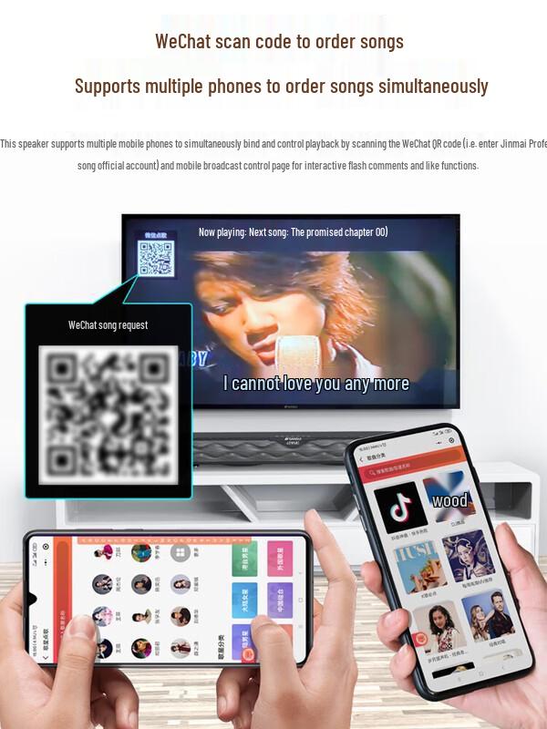 Shanshui P200 Home KTV Audio System