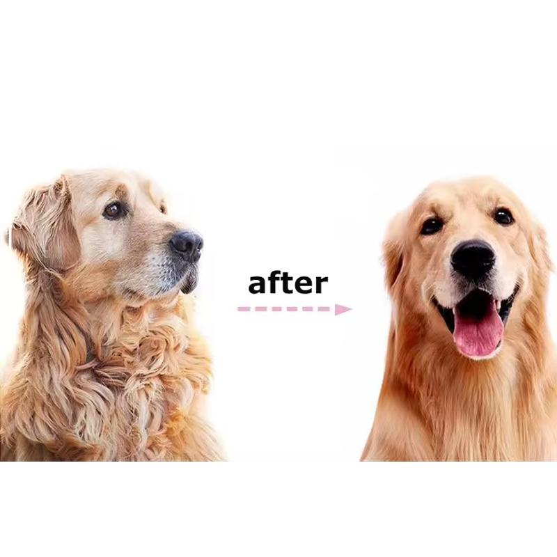 Double Sided Pet Grooming Comb Removes Floating Hair Tangled Knots Massage Brush For Small Medium and Large Dog Cat