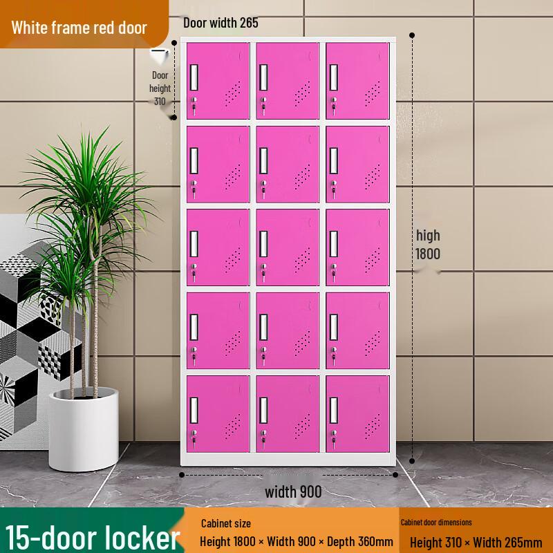 Ayoub 12-Door Classroom Locker with Sensor Lock
