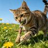 Jouet pour chat Silver Vine Jouet à mâcher pour chat en bois naturel Jouet sûr pour le nettoyage des dents Jouet Kicker pour chat pour chaton poussée dentaire Divertissement solo
