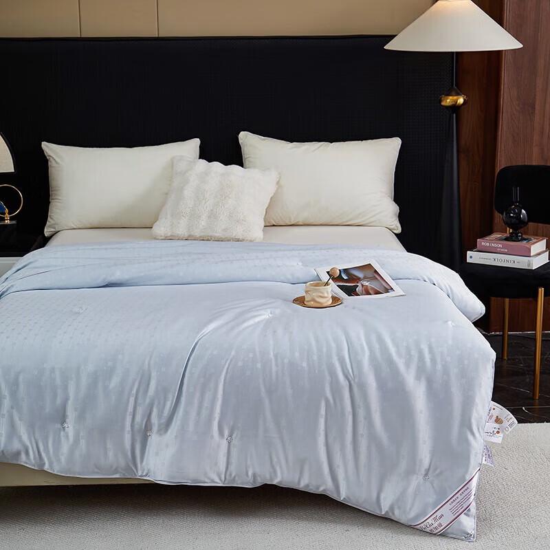 Bijiamen Verona Silver Thread Jacquard Tussah Silk Quilt