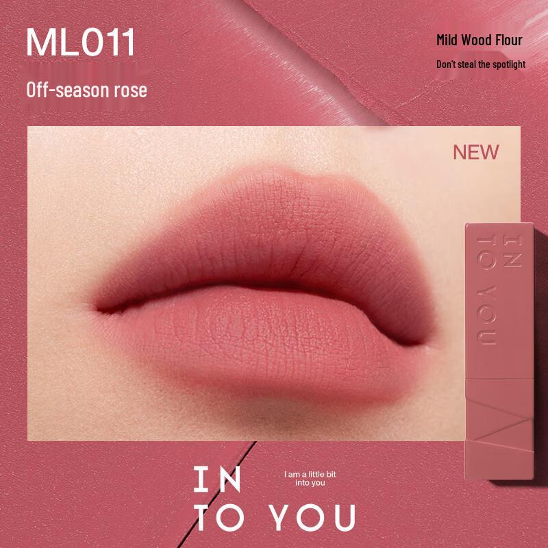 

INTO YOU Velvet Matte Lip Mud