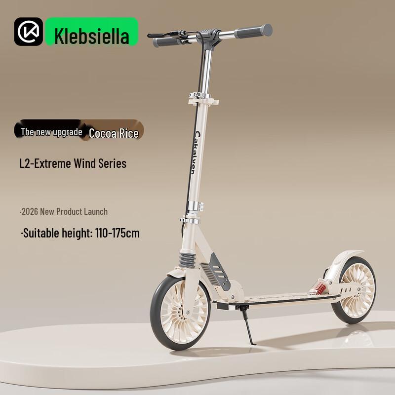 Cakalyen Foldable Two-Wheel Scooter