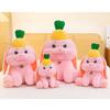 Bunny Plush Toy Cartoon Pineapple Figure Girl Children Birthday Gift Holiday