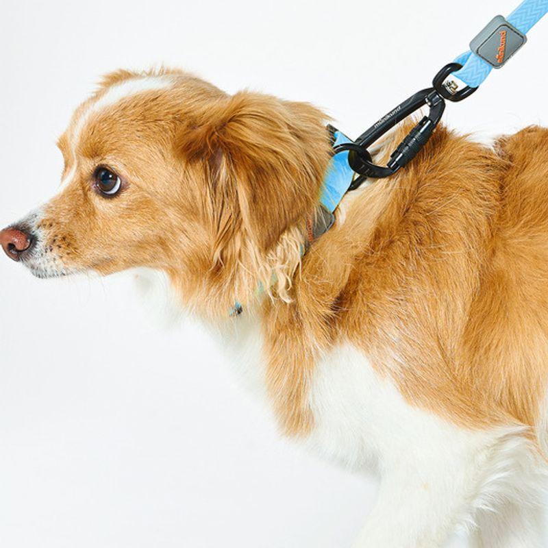 MUNIKUND Water-Block Collar Blue