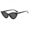 Small Frame Cat-eye Fashion Women's Sunglasses Retro Minimalist Suitable for Spring and Summer Vacation Travel Accessories