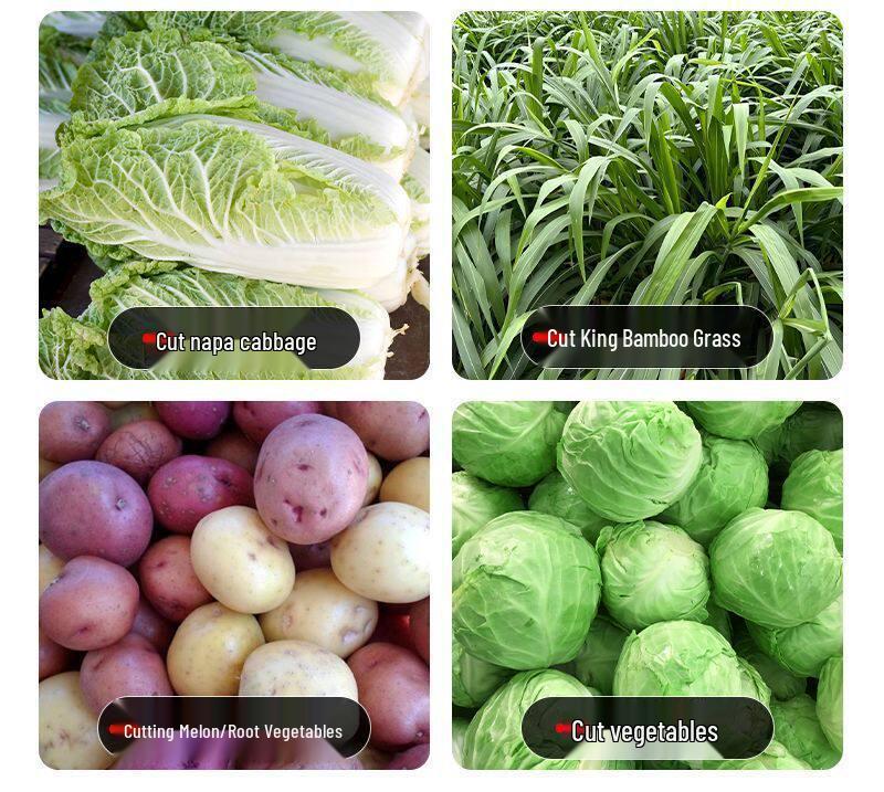 Stainless Steel Vegetable and Fodder Chopper for Poultry