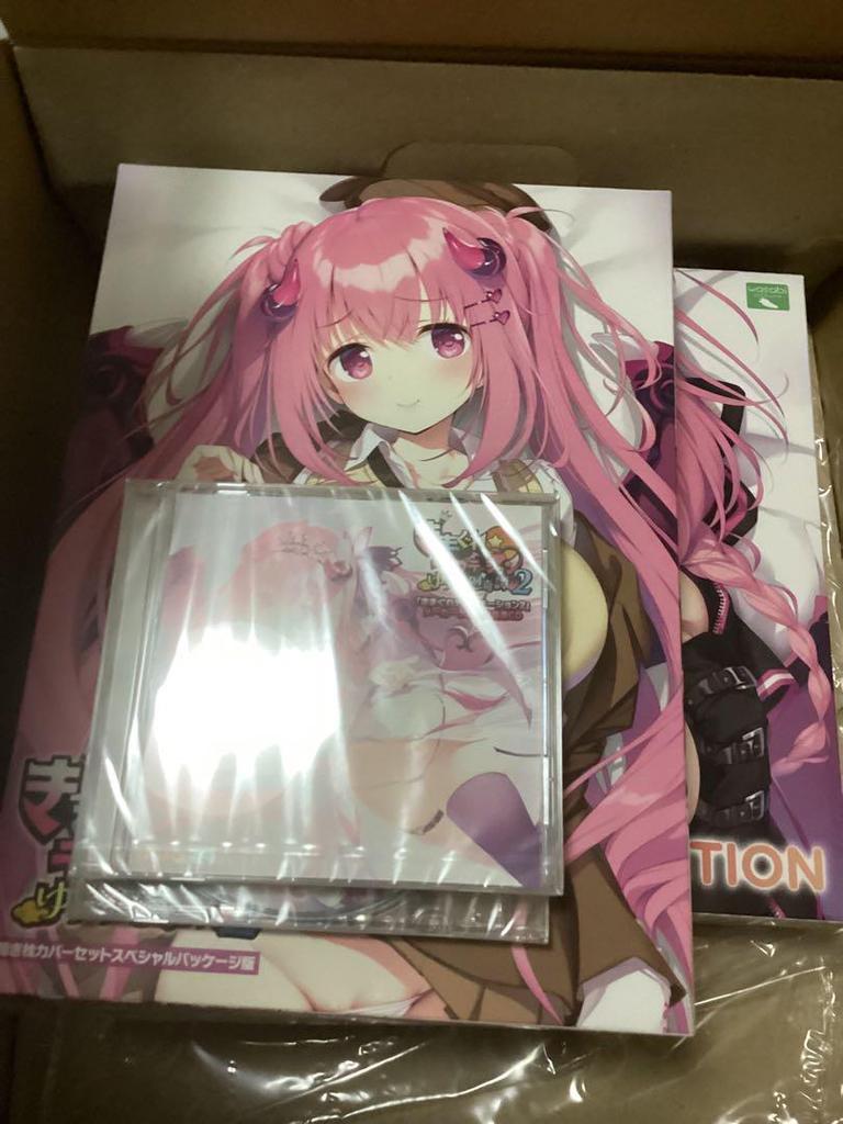[USED] Kimagure Temptation 2 Special Package Edition with Sofmap Bonus