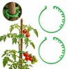 1/10/20Pcs Reusable Plant Fixing Buckle Plant Support Clips  Garden Vegetable Garden Supplies