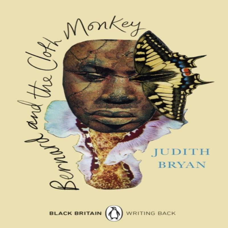 Bernard and the Cloth Monkey by Judith Bryan Paperback Book 9780241482681