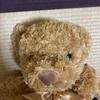 [USED] Teddy Bear Parent and Child