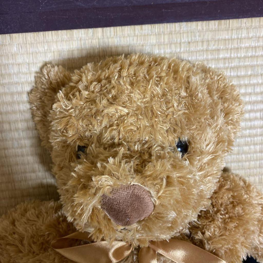 [USED] Teddy Bear Parent and Child