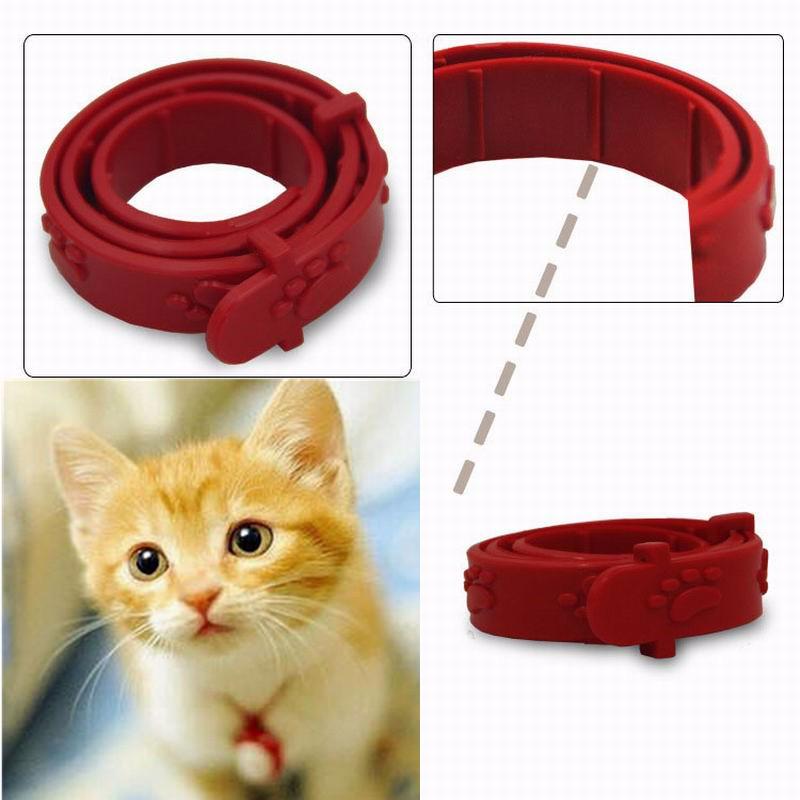 Picture of Buy Soft Cute Pet Outdoor Protection Long Lasting Silicone Kill Flea ...