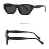 New Trendy European American Cat Eye Sunglasses Woman Fashionable Sunglassess Man Outdoor Skiing Casual Sunglasses