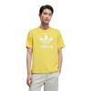 adidas T-shirt Adicolor Trefoil IR7977