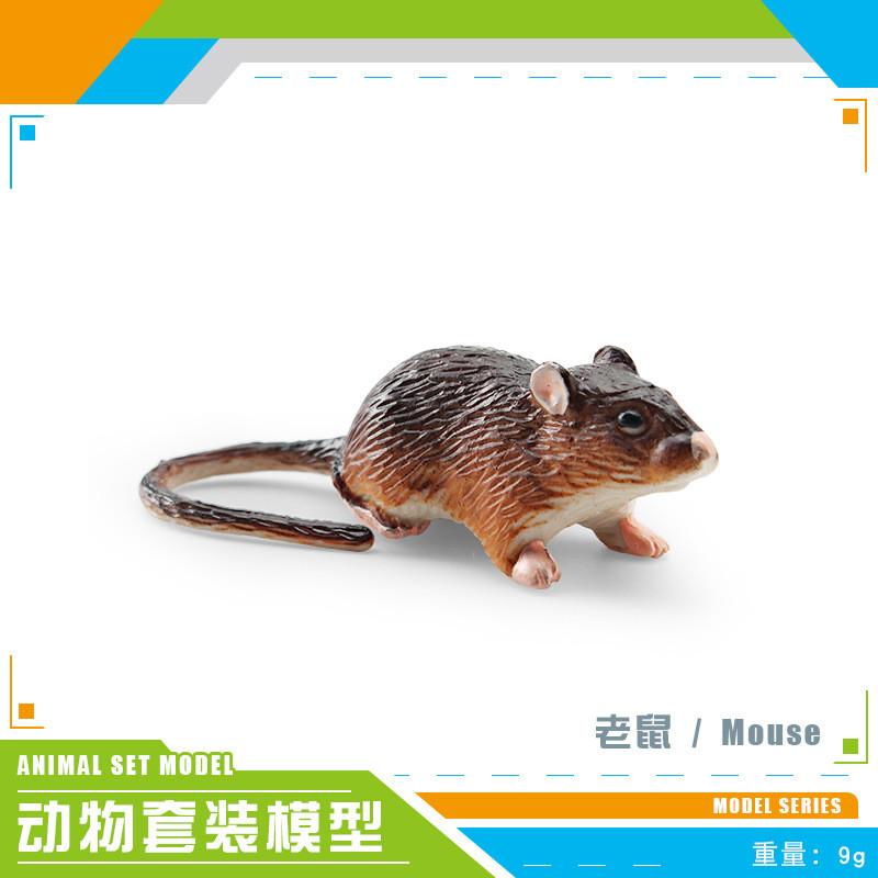 Realistic Forest Animal Models Set Including Hamster Snail Sugar Glider Mouse Meerkat Anteater For Kids Educational Playtime Fun