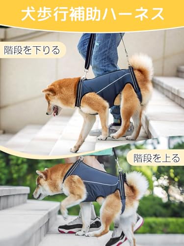 GIIPET - Dog Care Harness, Walking Aid for Senior Dogs, Injuries, Surgery, Recovery, and Illness, Easy to Put On and Take Off, Suitable for Small and
