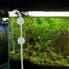 Aquarium Supplies Suction Cup Air Tube Holder Sucker for Fish Tank Pump Oxygen Air Hose Tube Fixing Clip 5-17mm Accessories