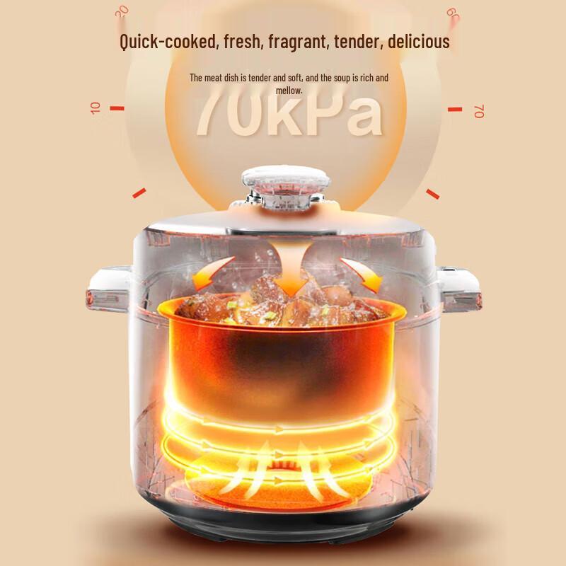 Royalstar 5L Electric Pressure Cooker CN plug (adapter included)