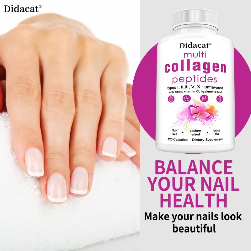 Didacat Multi Collagen Peptides with Biotin & Vitamin C, 120 Capsules Grass Fed Hydrolyzed Supplement