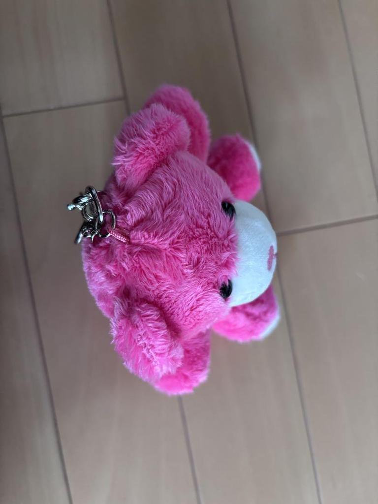[USED] BTS V FRIENDS Bear Keyring
