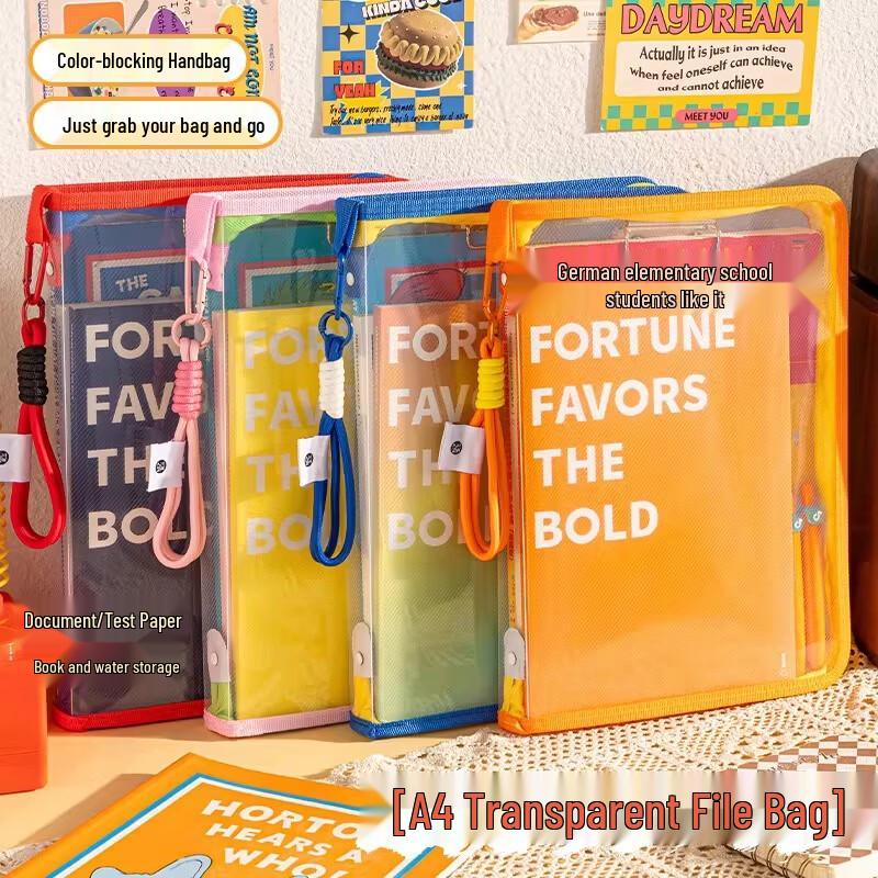 Large Capacity A4 Mesh Zipper File & Subject Bag