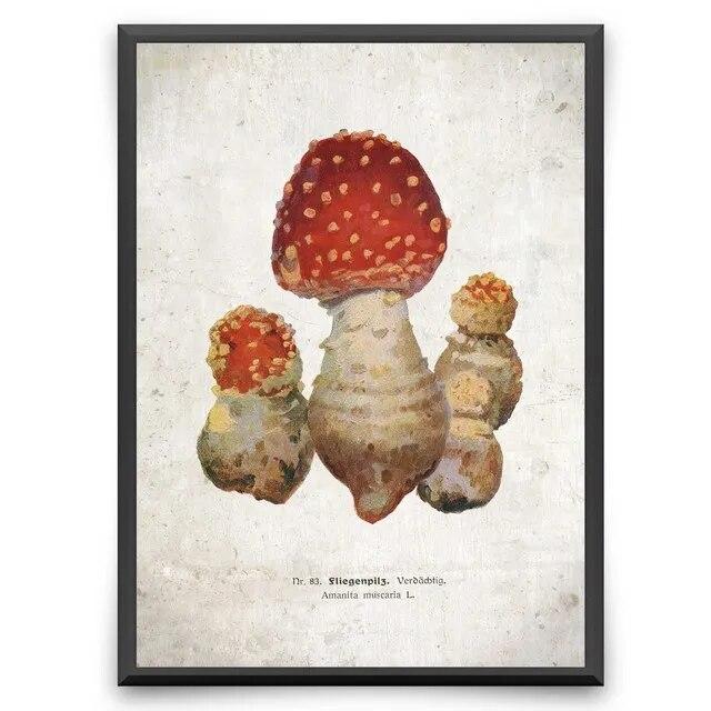 Botanische Blume Pilz Obst Leinwand Gemälde Wildpflanze Pilz Poster und Druck Wandkunst für Wohnzimmer Wand Dekor Cuadros