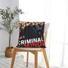 Criminal Minds Spencer Reid  Pillow Case  Kawaii Pillow Cover Graphic Pillowcases For Living Room Bed Chair