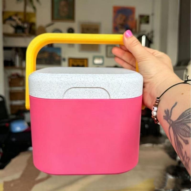 Insulated Portable Cooler With Handle Mini Freezer Fridge Heat Preservation Food Storage Cooler Box For Beach Picnic