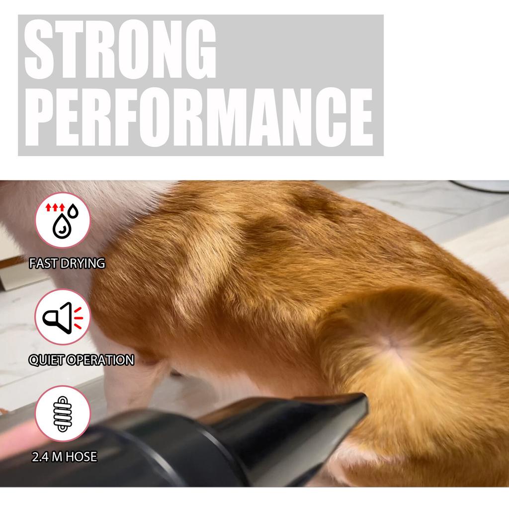 XPOWER B-123 White Commercial Multi-directional Pet Dog Cat Hair Dryer & 3nozzle EU Plug