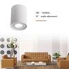 LED Ceiling Lamp Angle Adjustable Light for Living Room Background Porch Hallway Warm White Light