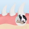 Wood Pet Molar Bone Wear Resistant Puppy Bite Toy Dog Teeth Clean Stick  Cleaning Teeth