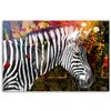 Canvastavlor Zebra på färgglad bakgrund