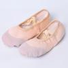 Bo Fu Niao Women's Soft-Soled Dance & Practice Shoes
