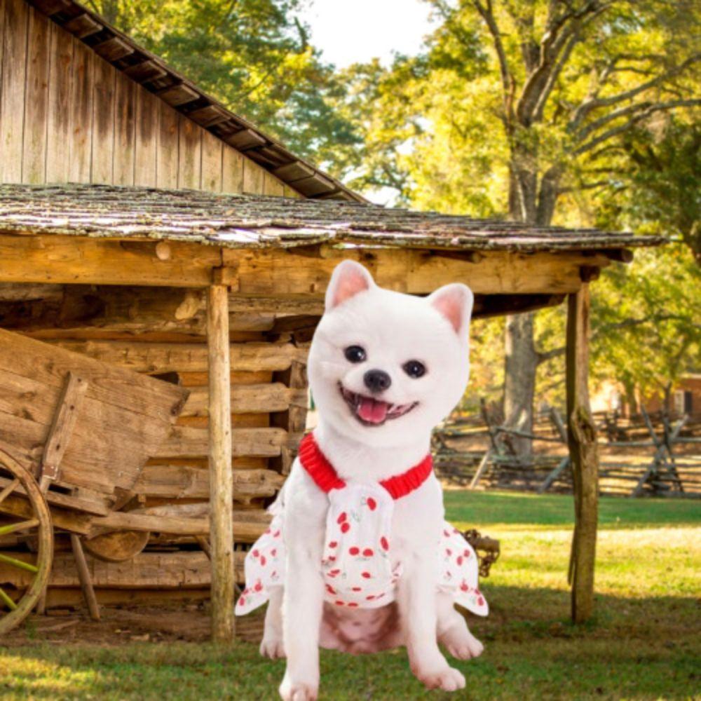 Cherry Print Dog Suspenders Dress Cute Pet Clothes Pet Costumes Puppy Princess Skirt Pet Supplies