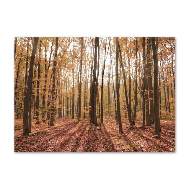 Autumn Landscape Painting Gold Leaves Forest Canvas Picture Modern Home Wall Decor Poster Frameless Prints Interior Decor No Frame