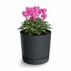 Plastic Round Flower Pot Cover with Saucer, Dark, Tubo
