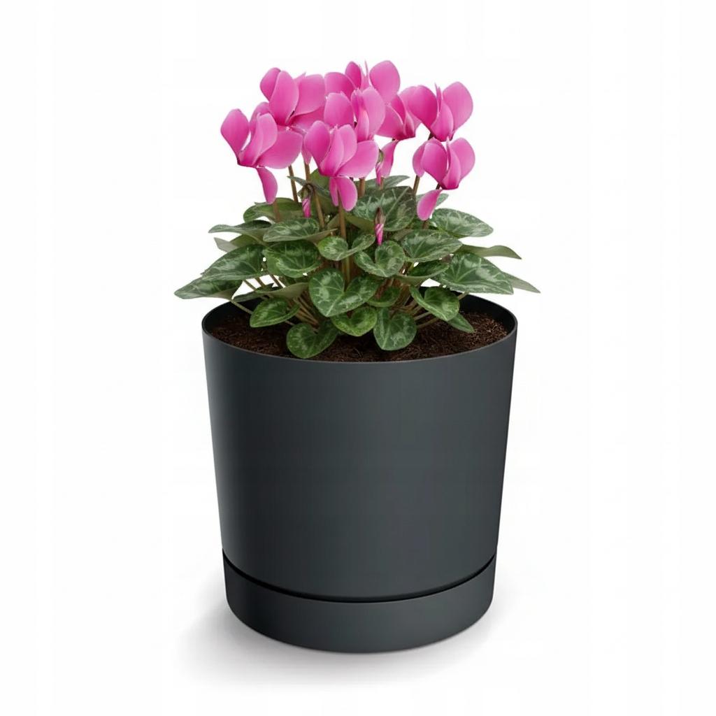 Plastic Round Flower Pot Cover with Saucer, Dark, Tubo
