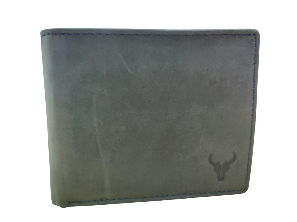 @ Wallet Pocket Card Holder Light Green Color For Men 124Gm Zr-7010-60%Off