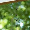 Home Decor Outdoor Rain Chain 2.4M Outdoor Rain Chain Bronze Home Decoration Balcony Door For Outdoor Canopy New Practical