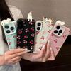 Painted Phone Case for iPhone 11 12 13 14 15 16 iPhone 11 12 13 14 15 16 Pro 12 13 14 15 16 Pro Max