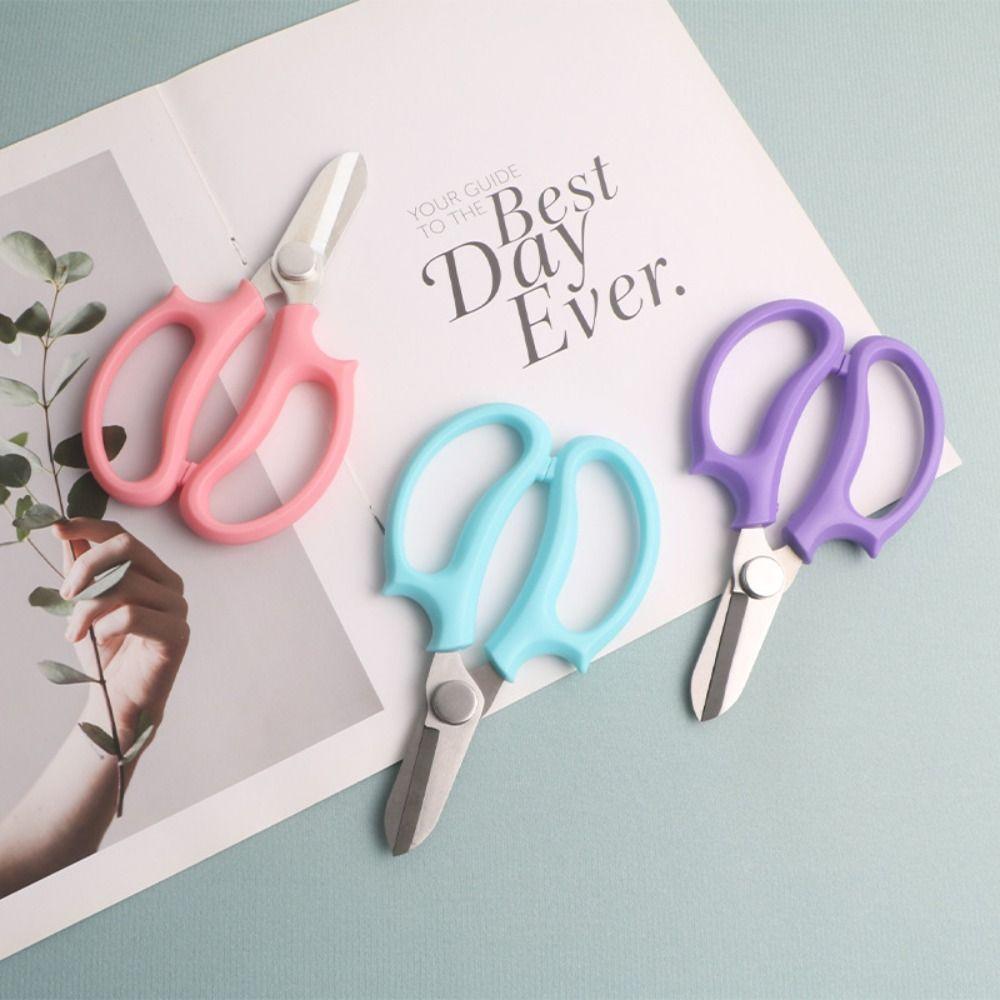 Pink Pruning Tools Blue Floral Scissors Hand Cutter Garden Pruning Shears  Picking Weed