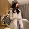 Autumn and winter fur vest mid-length 2 new imitation raccoon wool girl imitation fox fur imitation fur coat woman