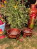 Hand-Painted Wooden Chowki Set of 2 | Indian Rajasthani Bajot Pedestal Stands | Decorative Flower Base for Pooja & Home Decor,Planter Stand