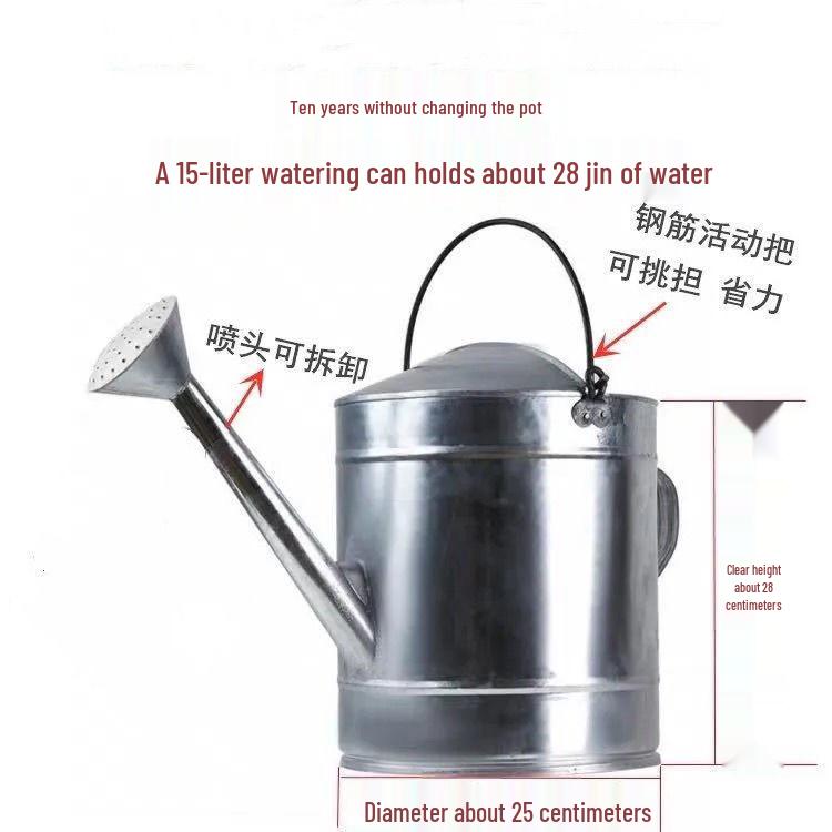 Tin Watering Can: Large Capacity for Vegetables & Flowers, with Spray Nozzle