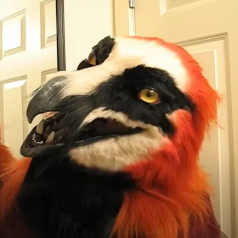 Venetian Party Eagle Mask Simulation Animal Wolf Mask Halloween Hood Mask  Party Makeup Ball