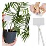 Labels for Flowers and Plants Perfect for Greenhouses and Pots 25 pcs