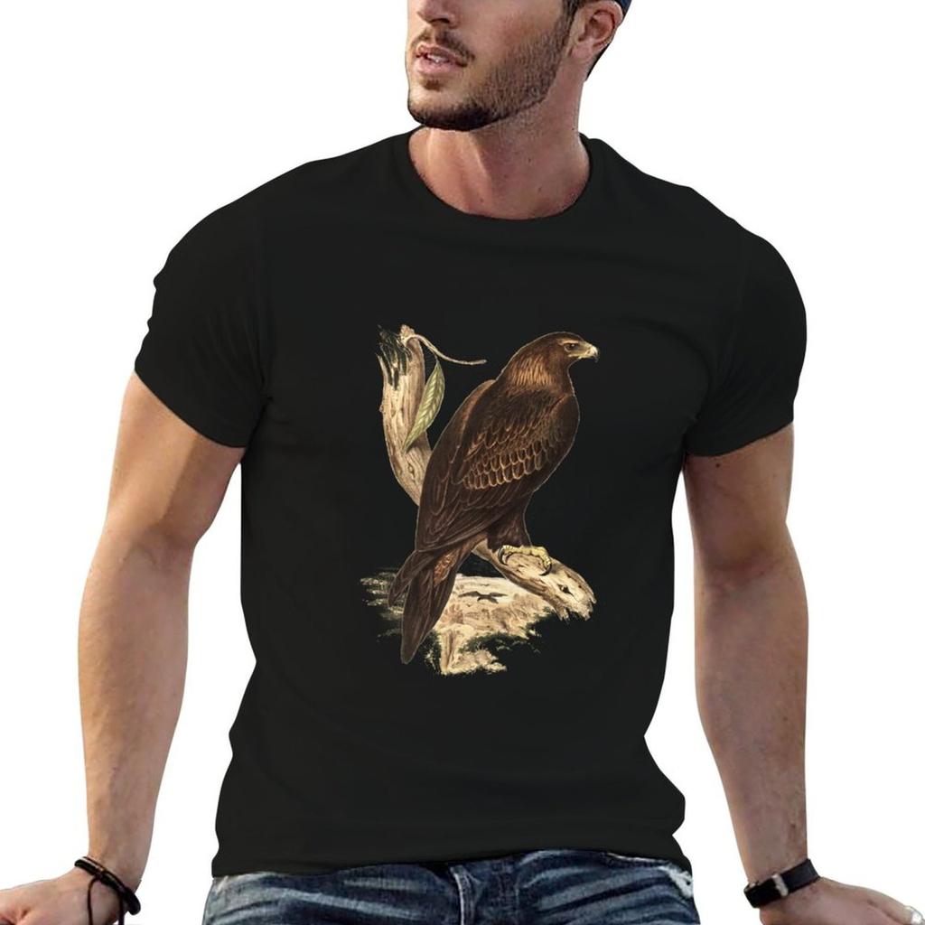 Wedgetailed Eagle Australias Largest Bird Of Prey Tshirt Durable Work Wear Tshirt