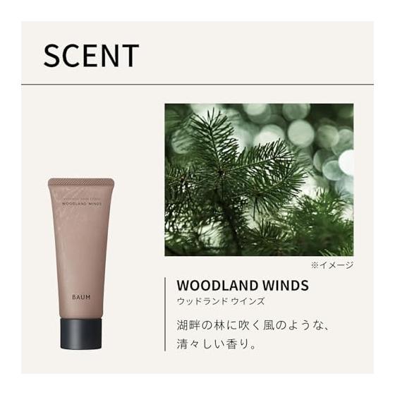 BAUM Gift Set Aromatic Hand Wash N 300mL + Aromatic Hand Cream N 1 75g | Hand Wash (2024 Model) + Hand Cream (2025 Model) | WOODLAND WINDS Scent |
