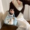 Retro Handtasche Damen Frühling und Sommer neu Nische Mode vielseitige Messenger Kissen Tasche